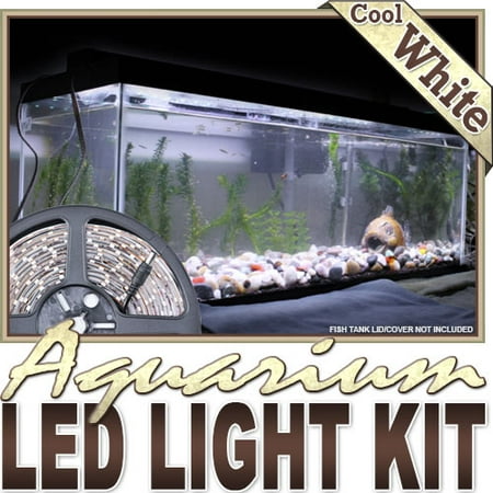 Blue Led For Fish Tank Biltek 16.4' ft Cool White Aquarium Fish Tank White LED Lighting Strip + Dimmer + Remote + Wall Plug 110V - Main Lighting Fresh Water Salt Water Tanks Water Resistant 3528 SMD Flexible DIY 110V-220V ()