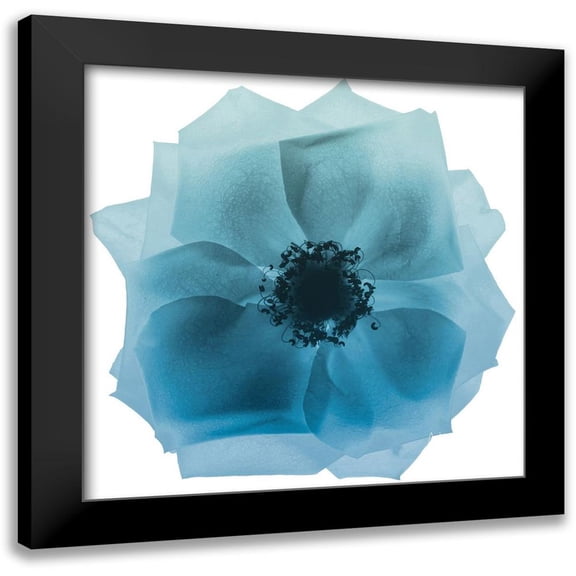 Koetsier, Albert 12x12 Black Modern Framed Museum Art Print Titled - Rose Petal Blues 2