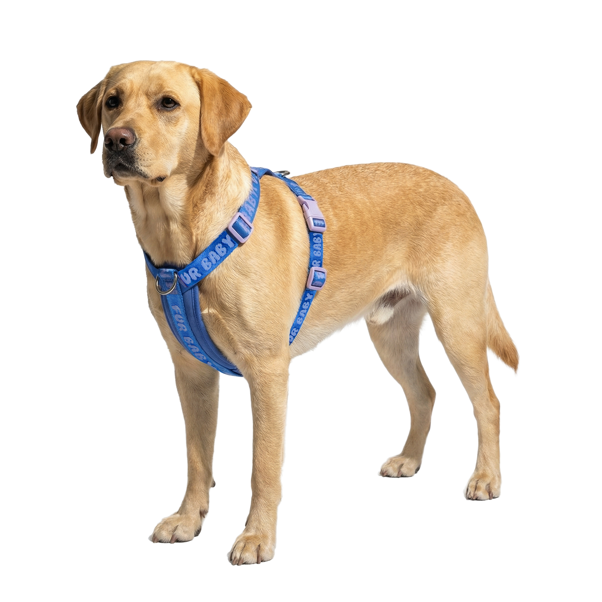 Oodles Polyester Fur Baby Step-In Dog Walking Harness, Blue photo 5