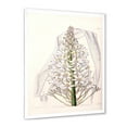 thumbnail image 2 of Designart 'White Vintage Orchid I' Traditional Framed Art Print, 2 of 4