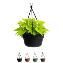 Bloem Dura Cotta 12" Black Round Self Watering Hanging Basket Planter with Drainage with Macrame Cord Included