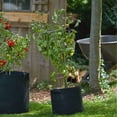 thumbnail image 6 of FCMP Outdoor 5 Gallon Modern Non Woven Breathable Grow Bags, Black (5 Pack), 6 of 12