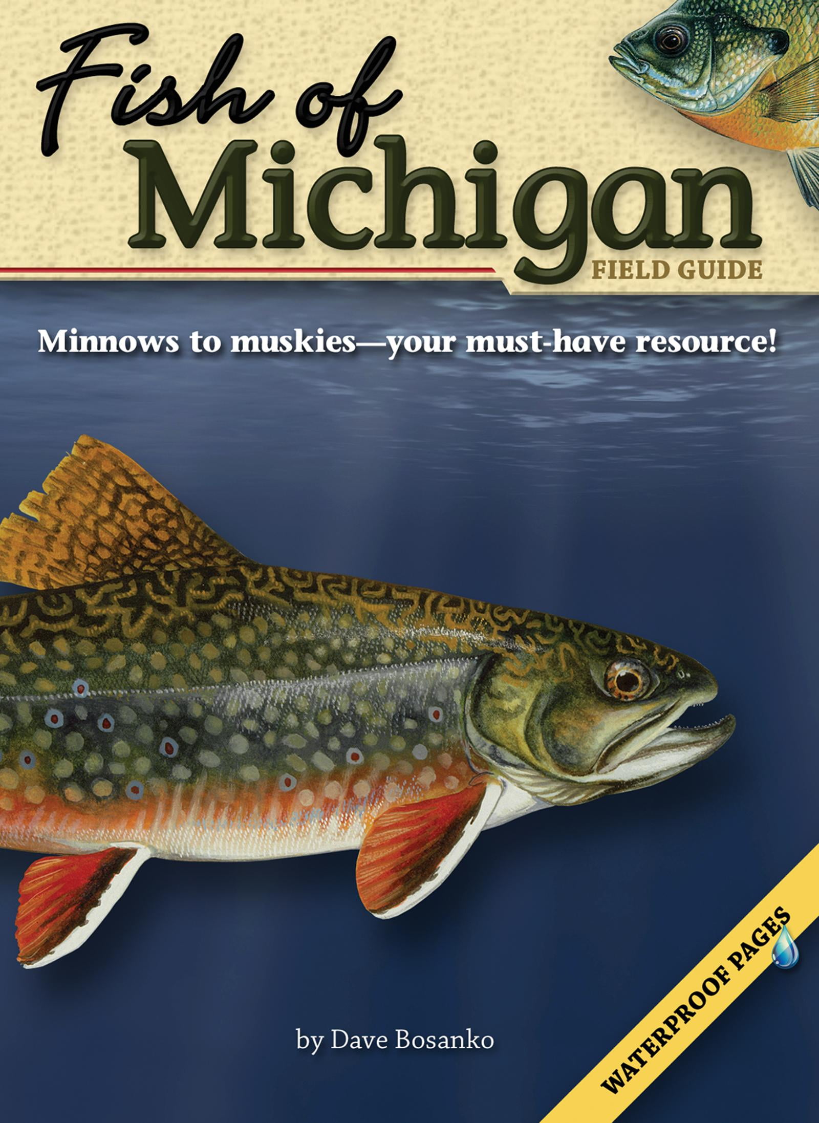 Fish Identification Guides Fish of Michigan Field Guide (Paperback