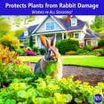 thumbnail image 2 of Nature’s Mace Rabbit Mace, Rabbit Repellent Outdoor, Rabbit Deterrent For Yard, Garden, Landscape, Flowers, Yard, Keep Bunnies Out, 3 Pounds, Safe Around Dogs, Pets, People, & Plants, 2 of 7