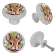 thumbnail image 4 of Easter Fluorescent Drawer Pulls with Screws: Round 4-Pack Glow-in-the-Dark Knobs – Suitable for Cabinets, Wardrobes, Dressers, 4 of 6