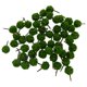 thumbnail image 2 of 50 piezas de árboles esféricos modelo para bricolaje, paisaje, escala N Pasto verde, 2 of 6