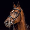 thumbnail image 1 of Horze Sion Bridle with Reins, 1 of 8