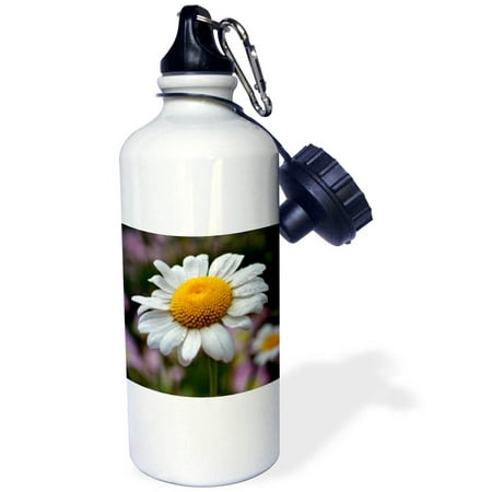 

3dRose A Daisy with water drops Sports Water Bottle 21oz