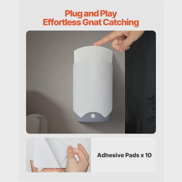 BENGPAOBA-Plug in Gnat Killer Fly Trap with Blue Violet Light and 10 Sticky Glue Boards for Gnats Flies Moths Fruit Flies Indoor Use