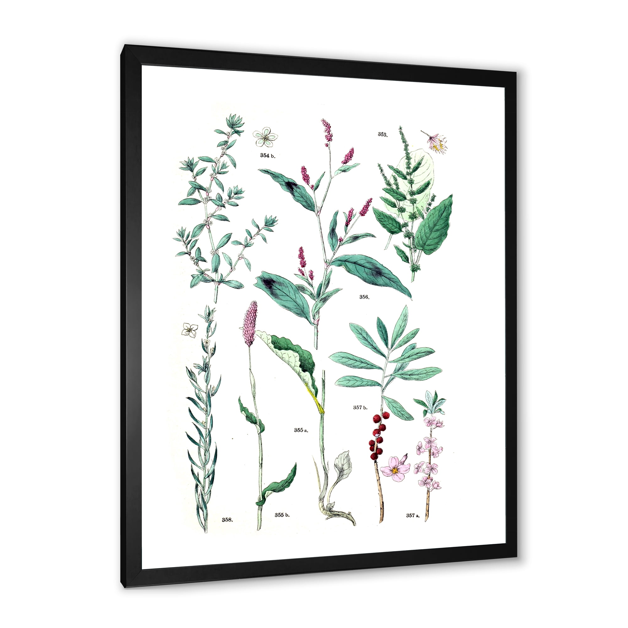 Designart 'Ancient Plants' Traditional Framed Art Print