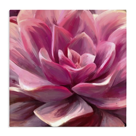 Stupell Industries Contemporary Pink Succulent Leaves Canvas Art, 24 x 24, by Amy Hall