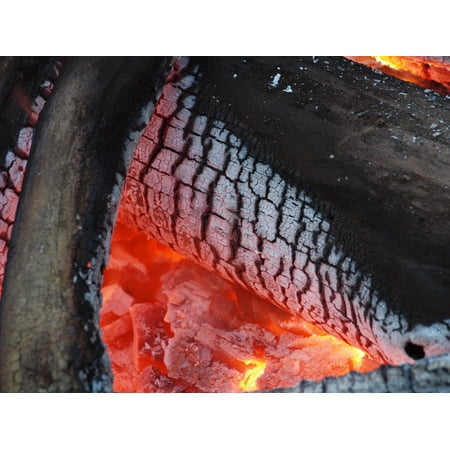 Canvas Print Flame Burning Hot Firewood Log Wood Burn Fire Stretched Canvas 10 x
