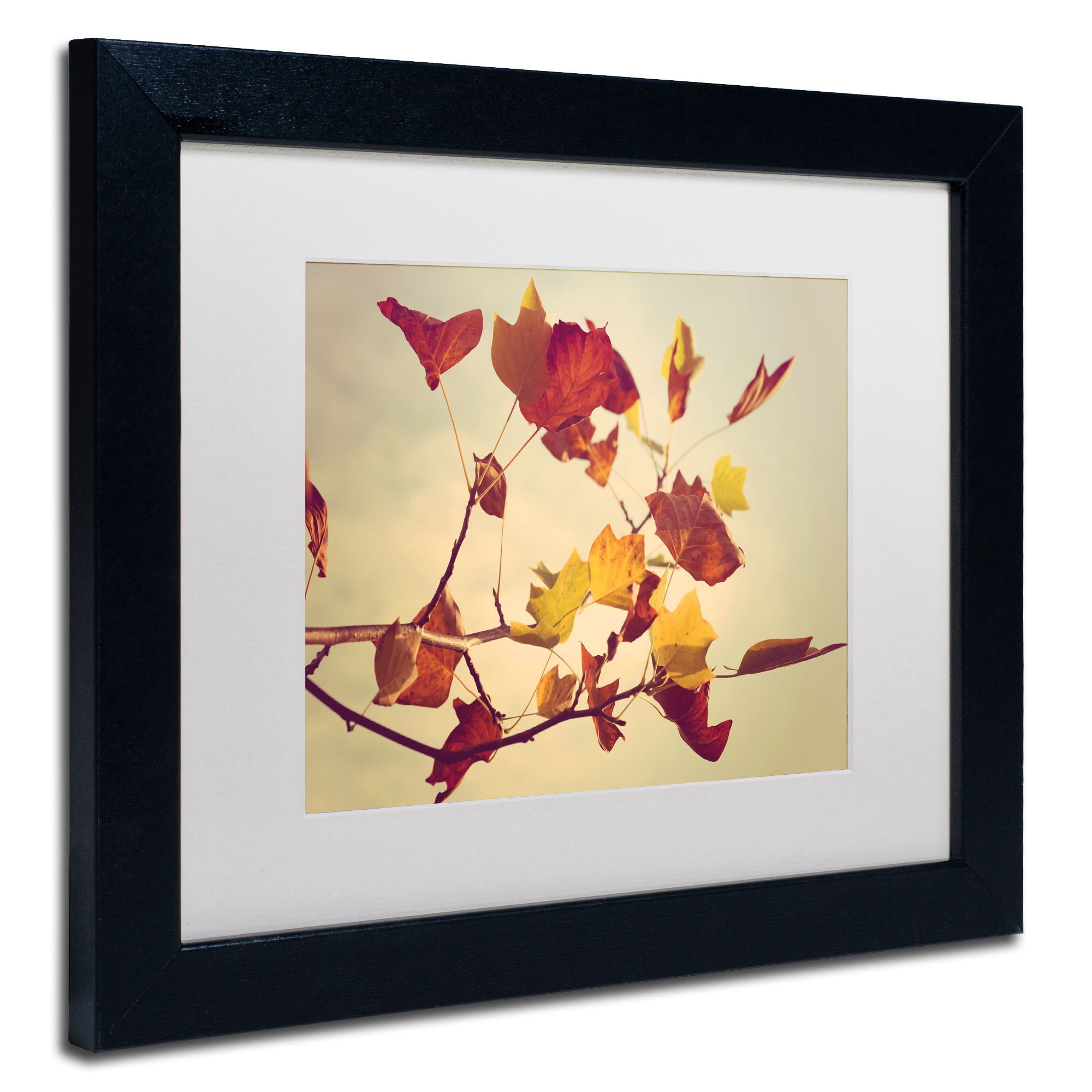 Trademark Fine Art "Still Fall" Canvas Art by Philippe Sainte-Laudy, White Matte, Black Frame