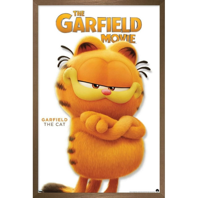 Le film Garfield - Garfield Feature Series 24