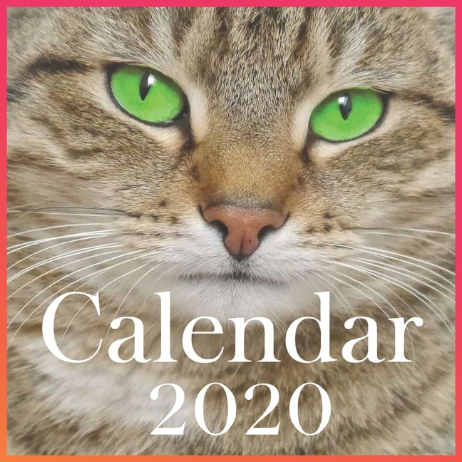 Funny Cat 2020 calendar Funny Cat Wall Calendar 2020 (Funny Gift