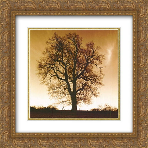 Sepia Trees I 2x Matted 12x24 Gold Ornate Framed Art Print by Mark Baker