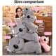 thumbnail image 4 of Peluche Koala (color: gris, tamaño: 35 cm) Sincero Electrónica, 4 of 5