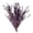 Washed Purple - 8 Oz, variant on CalCastle Craft California Grown Natural Dried Preserved Eucalyptus Branches Bundles of Stems and Leaf Large 30" Tall Bulk 1 LB / 8 OZ (Washed Purple - 8 oz)