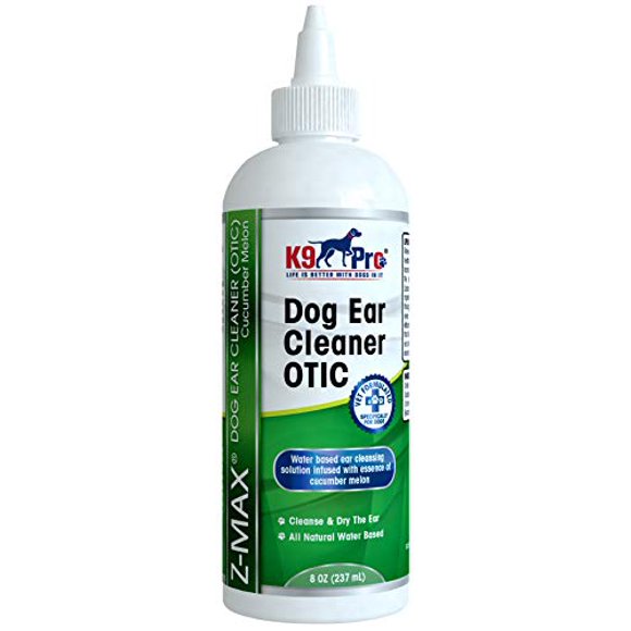 Dogs Ear Infection Treatments