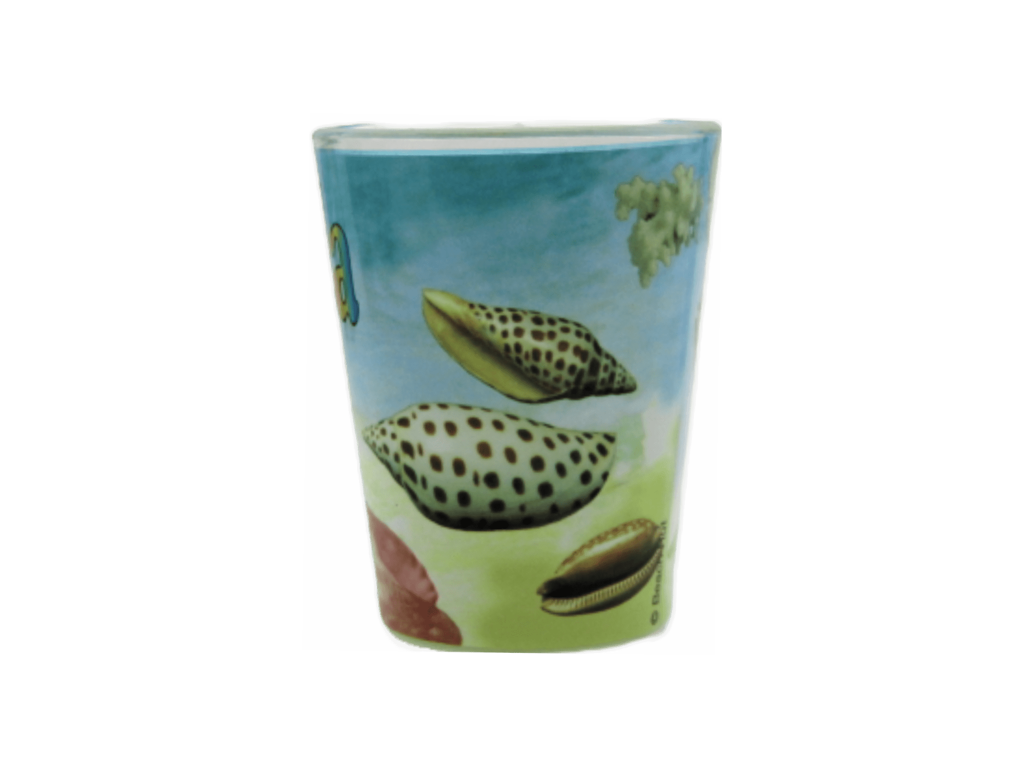 Shot Glass Florida Starfish 1 Count Beach Hut Inc. Brand Souvenirs
