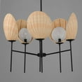 thumbnail image 3 of 12605NABK Maxim Lighting Maldives - 5 Light Chandelier-20.25 Inches Tall and 26 Inches Wide     -Traditional Installation, 3 of 5