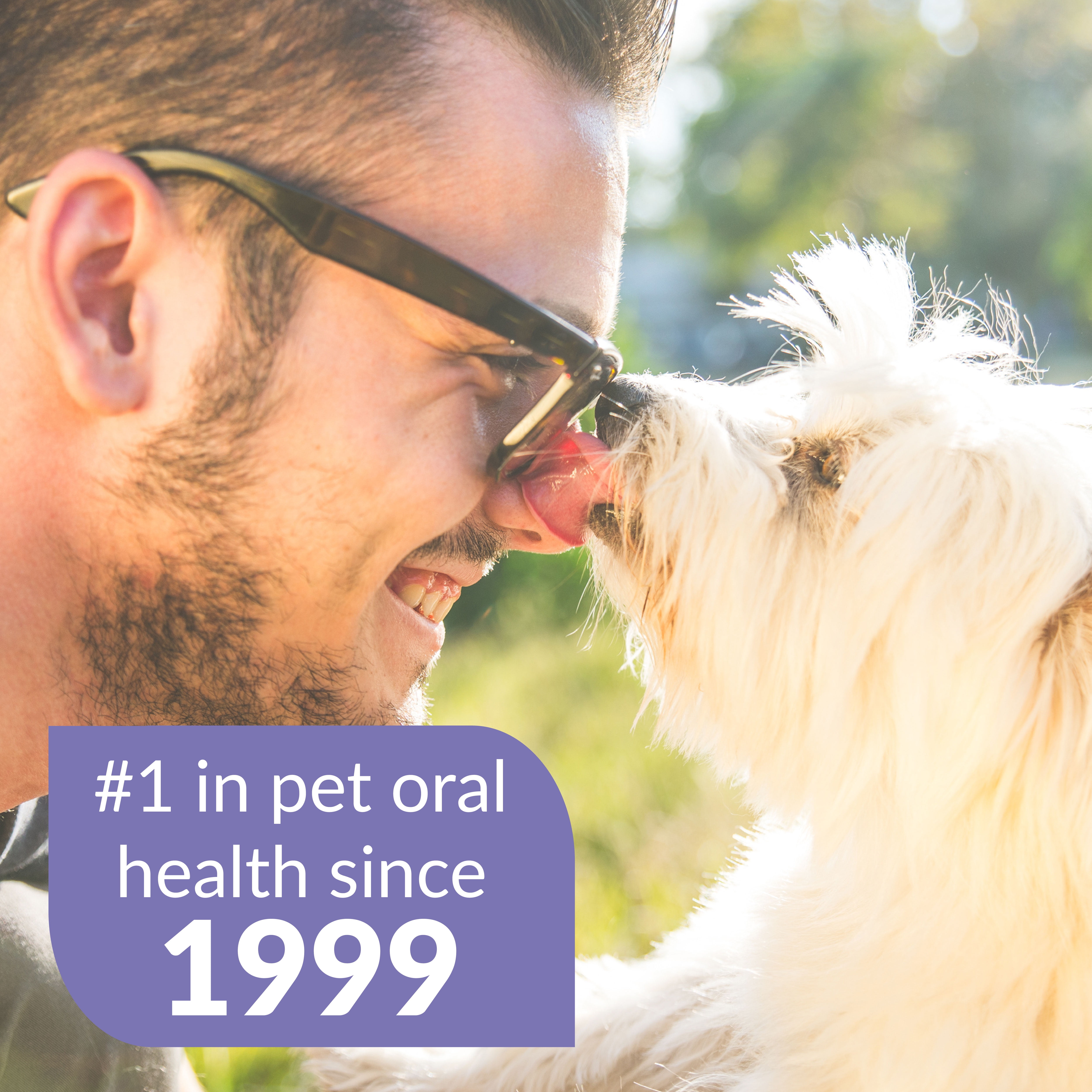 dental fresh advanced plaque & tartar water additive for dogs