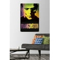 thumbnail image 2 of Frankenstein - Close-Up Wall Poster with Pushpins, 22.375" x 34", 2 of 6