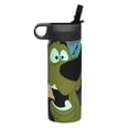 thumbnail image 2 of Lsque Scooby-Doo Pattern 18oz Sports Insulated Kettle With Straw Insulated Water Bottle Insulated Tumbler For Men Womans Sports Insulated Kettle, 2 of 8