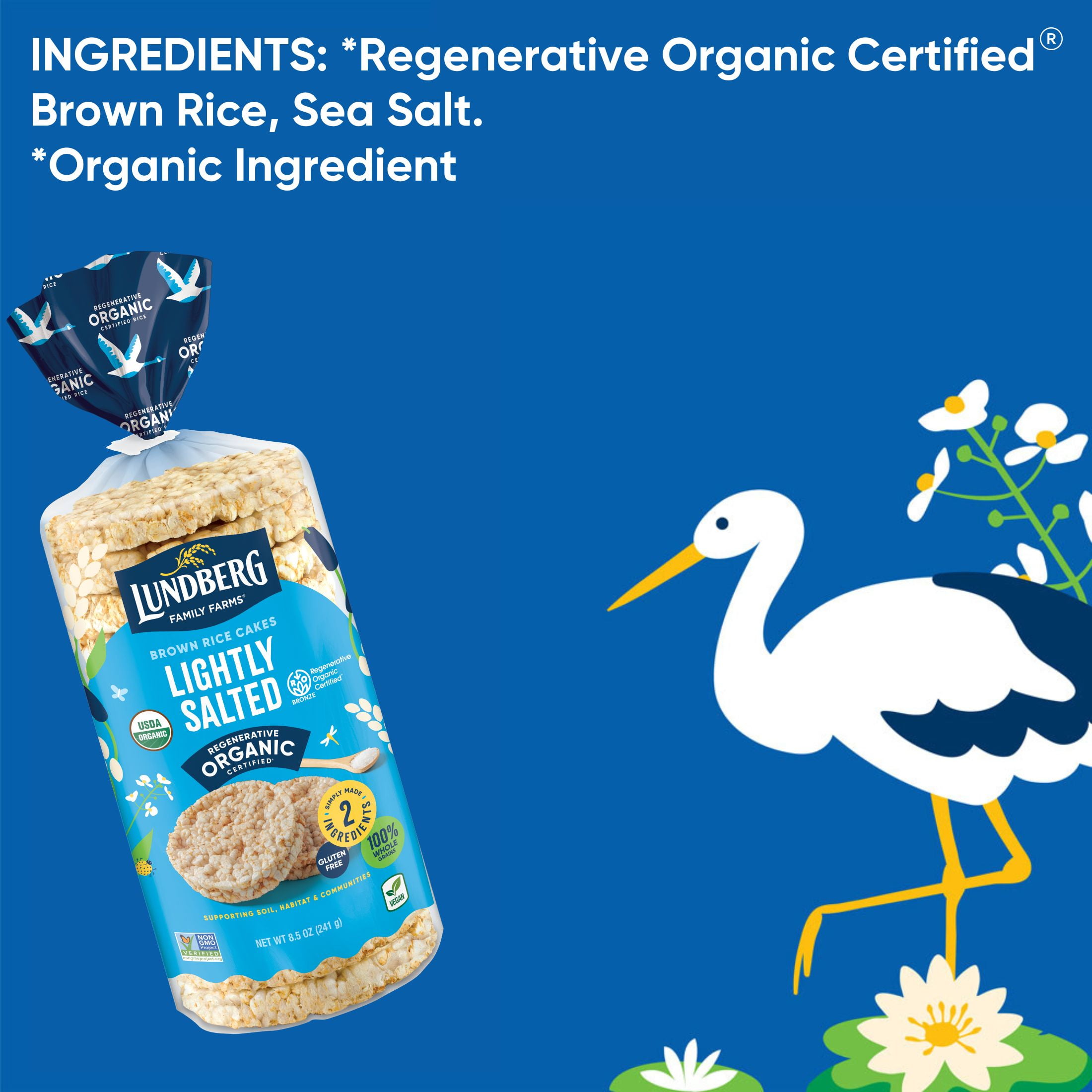 rice up organic whole grain rice cakes