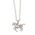 thumbnail image 2 of Galloping Horse Necklace with Cowboy Hat Gift Box, 2 of 2