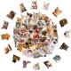 thumbnail image 1 of 50 pegatinas para gatos Sincero pegatinas de graffiti para gatos lindos, 1 of 5