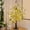 A41 home decor under 5$, variant on Usloyux Under $5 23.62 Inch High Little Lighted Tree,Small Olive Tree with Warm White LED,Table Top Artificial Greenery Tree with Fairy Lights for Wedding Holiday Christmas Decoration