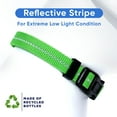 thumbnail image 4 of Pawtitas Recycled Dog Collar with Reflective Puppy Collar Small Green, 4 of 10