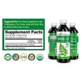 thumbnail image 5 of Moringa Leaf Extract Liquid Drop, Organic Moringa Powder Leaves - Digestive, Immune & Antioxidant Supplement, 12oz - Herbal Goodness, 5 of 8