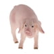 thumbnail image 5 of Juguete de acción del modelo del animal cerdo realista para niños más pequeños., 5 of 6