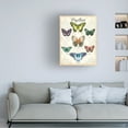 thumbnail image 3 of Canvas Wall Art - Jean Plout 'Beautiful Papillon Study B' Wall Art for Living Room, Bedroom, or Office Décor by Trademark Fine Art - 14 x 19 Inches, 3 of 4