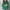 Green, variant on Blmnix Going Out Tops for Women Sweater Brown Cowl Neck Solid Long Sleeve Plus Size Pullover Juniors Tops Fall
