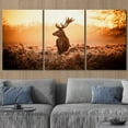 thumbnail image 3 of wall26 Canvas Print Wall Art Set Deer in The Golden Morning Sun Nature Wilderness Photography Realism Rustic Scenic Relax/Calm Multicolor for Living Room, Bedroom, Office - 24"x36"x3 Panels, 3 of 5