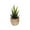 JN, variant on HCTSHG Artificial Succulents in Pots - Small Fake Plants Mini Succulent Agave Faux Plants Indoor for Boho Bathroom Decor, Bedroom, and Coffee Table Office Farmhouse Decoration