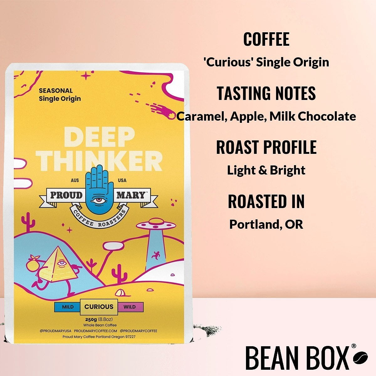 'Curious' Single Origin - Roasted by Proud Mary Coffee - Whole Bean Coffee - 1 Kilogram Bag