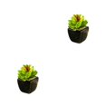 thumbnail image 4 of Matsuzay Bonsái en maceta de cerámica suculenta verde artificial con jarrón, planta de imitación, jardín, oficina, balcón, decoración al Type2 NO2, 4 of 6