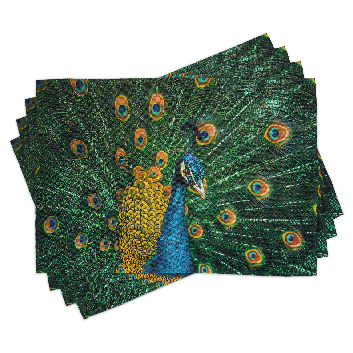 Peacock Placemats Set of 4 Portrait Of The Peacock Courtship Display