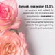 thumbnail image 5 of Sérum CELDYQUE Niacinamide Advanced 20% para rostro con vitamina B3, 30 ml, 5 of 7