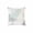 F, variant on BingTong Tropical Palm Leaf Throw Pillow Cover, Summer Botanical Print Square Outdoor Cushion Slip, Zippered Weather Resistant Decorative Pillow Case for Patio, Beach & Poolside G