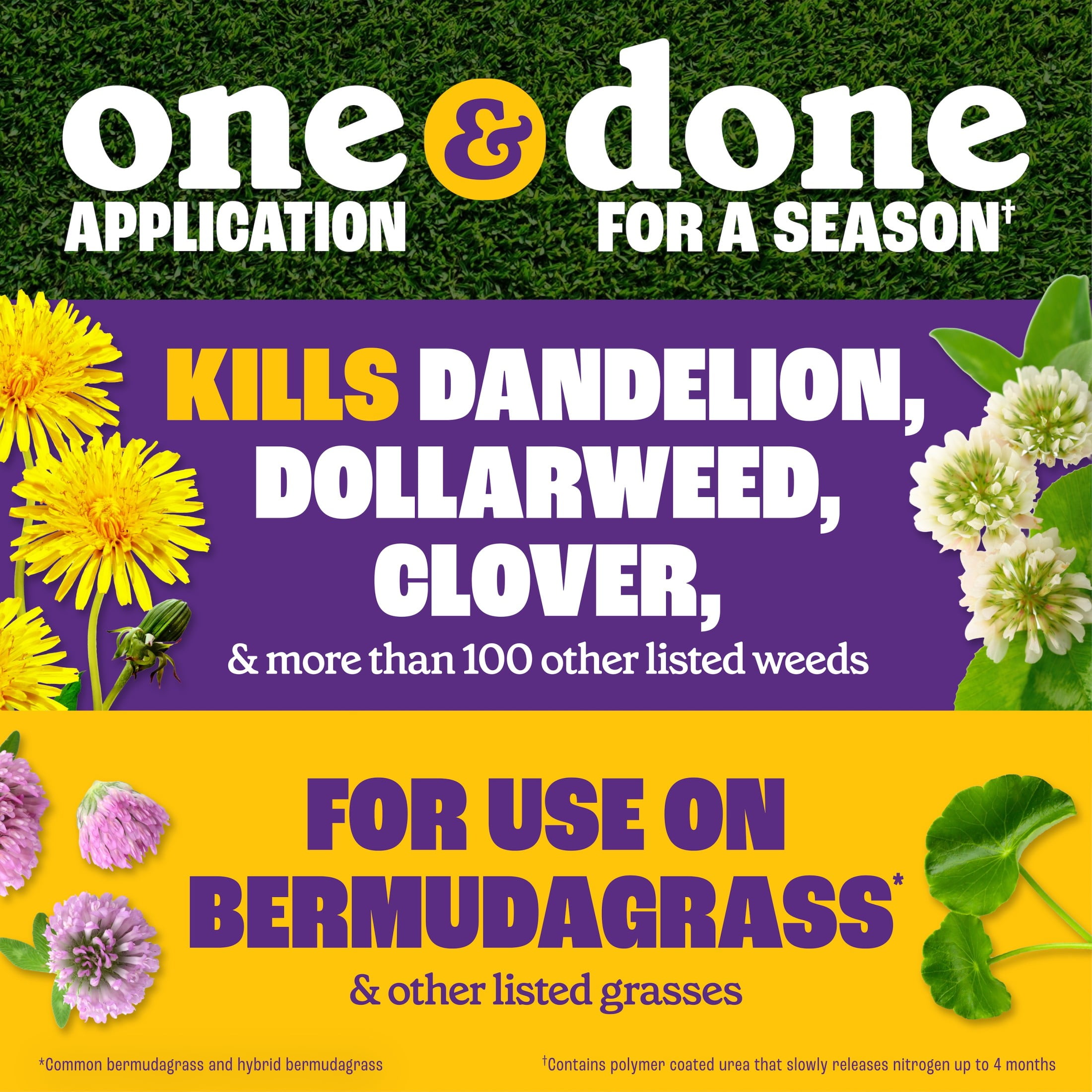 Pennington Full Season Southern Weed and Feed with Crabgrass Control, 25-0-14 Fertilizer, 8 lb., 2.5M Coverage