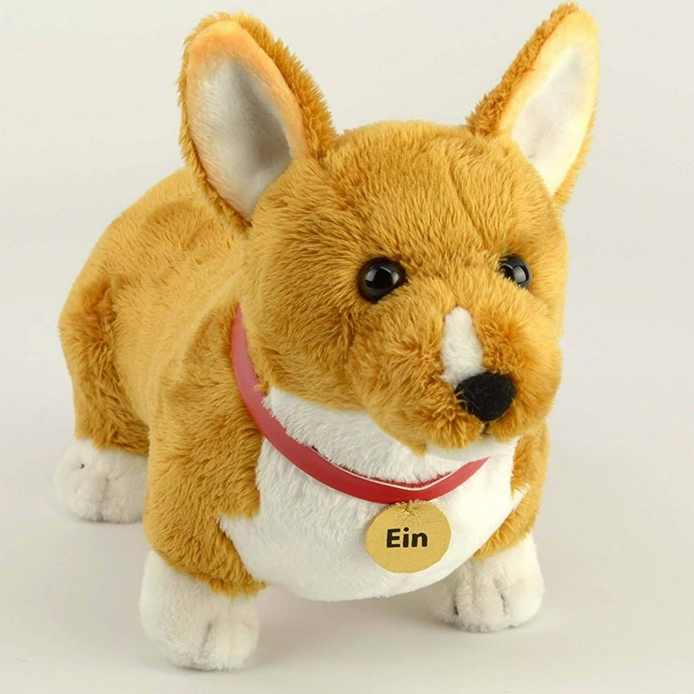 Cowboy Debop Ein 8 Inch Plush Figure - Walmart.com - Walmart.com