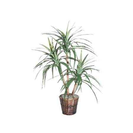 4 ft. Marginata Extra Full Tree