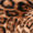 Cheetah, variant on Feetmoji Adult Novelty Claw Slipper