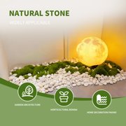 White River Rocks 40lbs - 1-2 Inch Natural Polished Pebbles for Landscaping, Indoor Plants, Aquariums & Vase Filler - Moisture-Retaining Decorative Stones