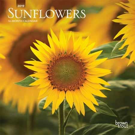 Flowers 2010 Wall Calendar - Sunflowers 2019 Mini Wall Calendar, More Flowers by BrownTrout